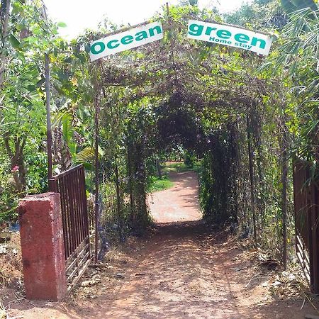 Ocean Green Kerala Kannur Exteriör bild