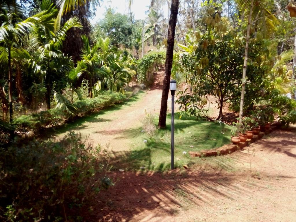 Ocean Green Kerala Kannur Exteriör bild