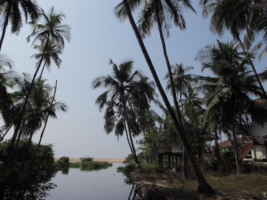 Ocean Green Kerala Kannur Exteriör bild