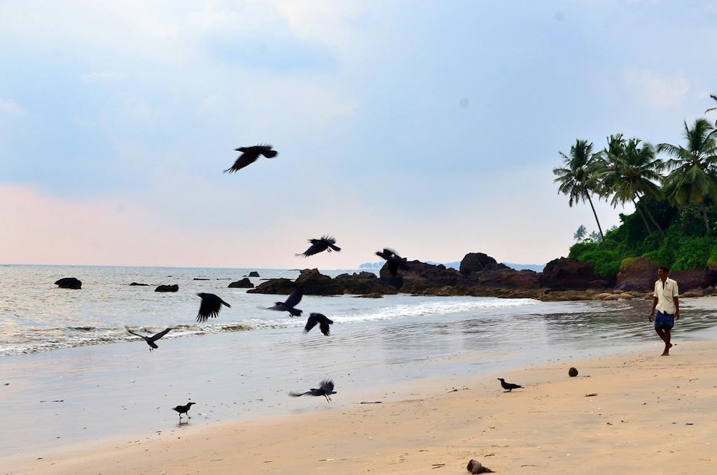 Ocean Green Kerala Kannur Exteriör bild