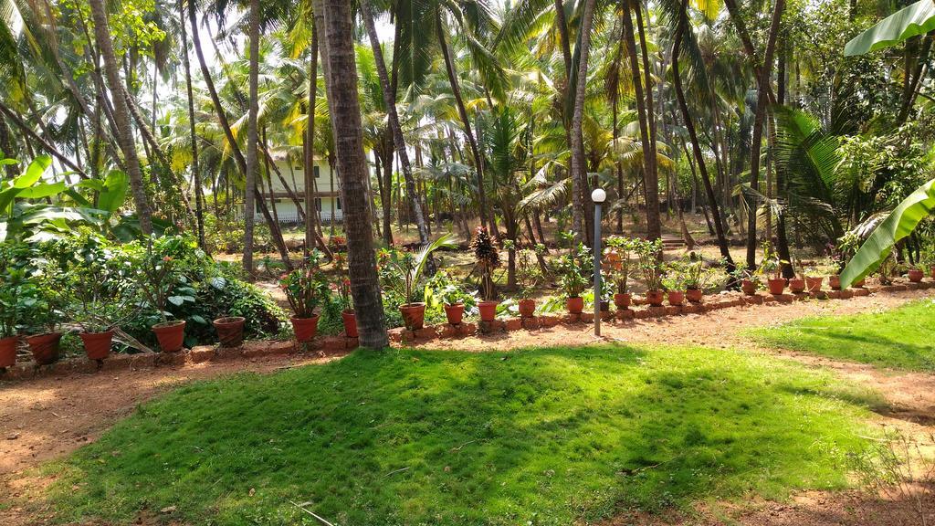 Ocean Green Kerala Kannur Exteriör bild
