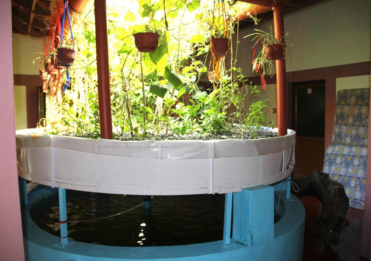 Ocean Green Kerala Kannur Exteriör bild