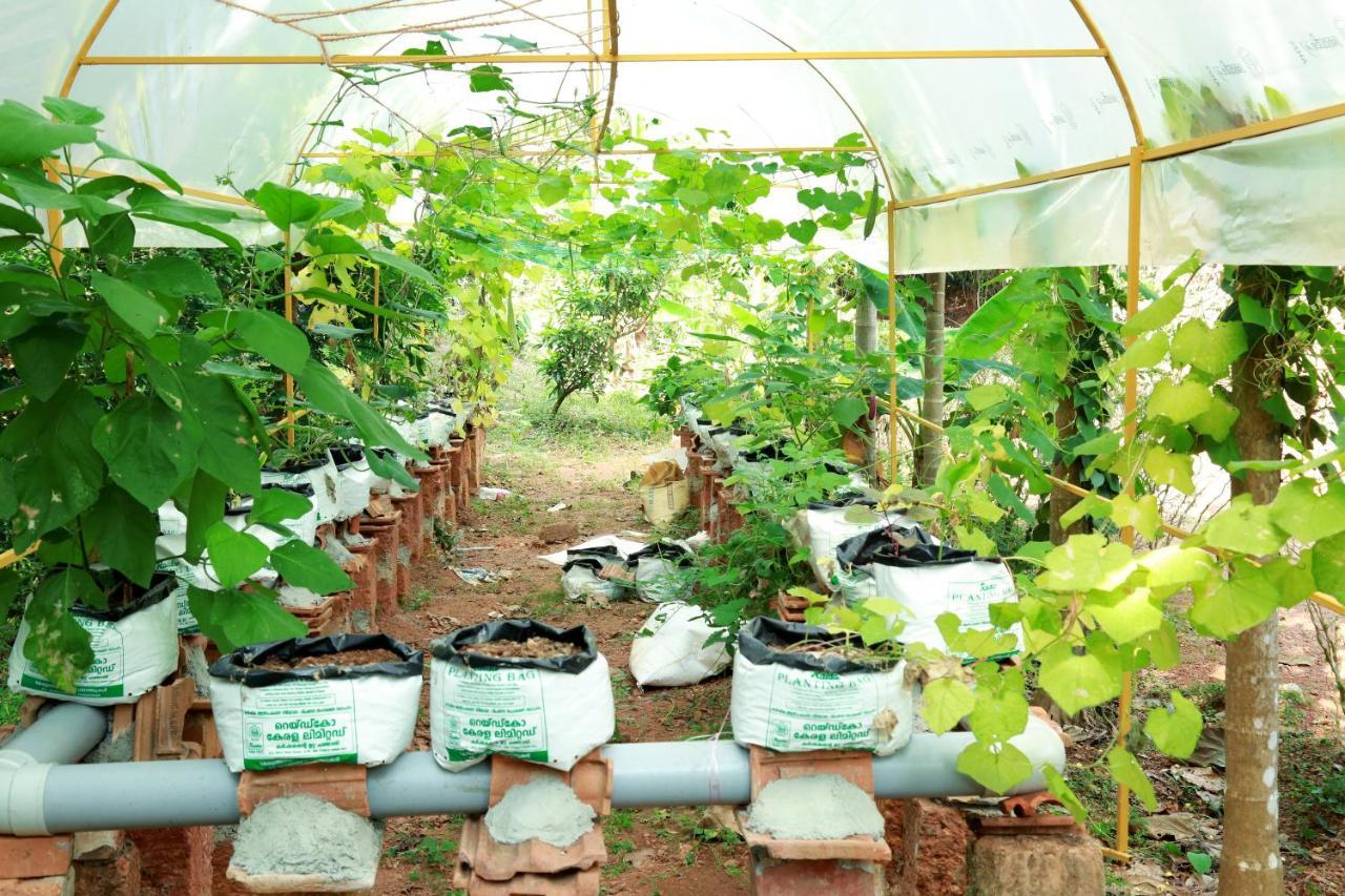Ocean Green Kerala Kannur Exteriör bild