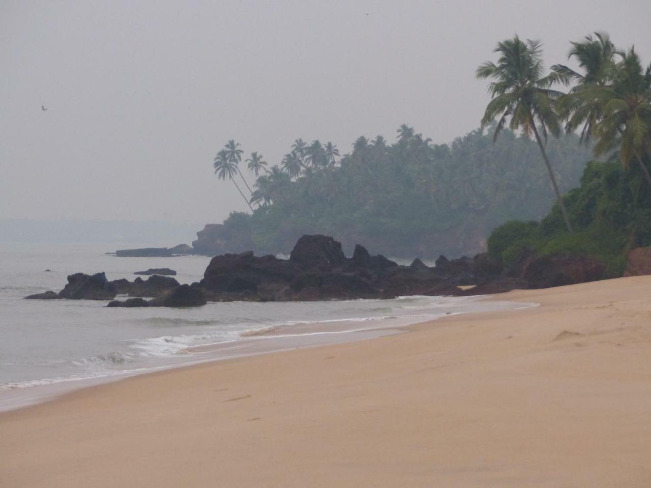 Ocean Green Kerala Kannur Exteriör bild