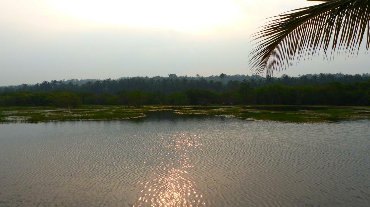 Ocean Green Kerala Kannur Exteriör bild