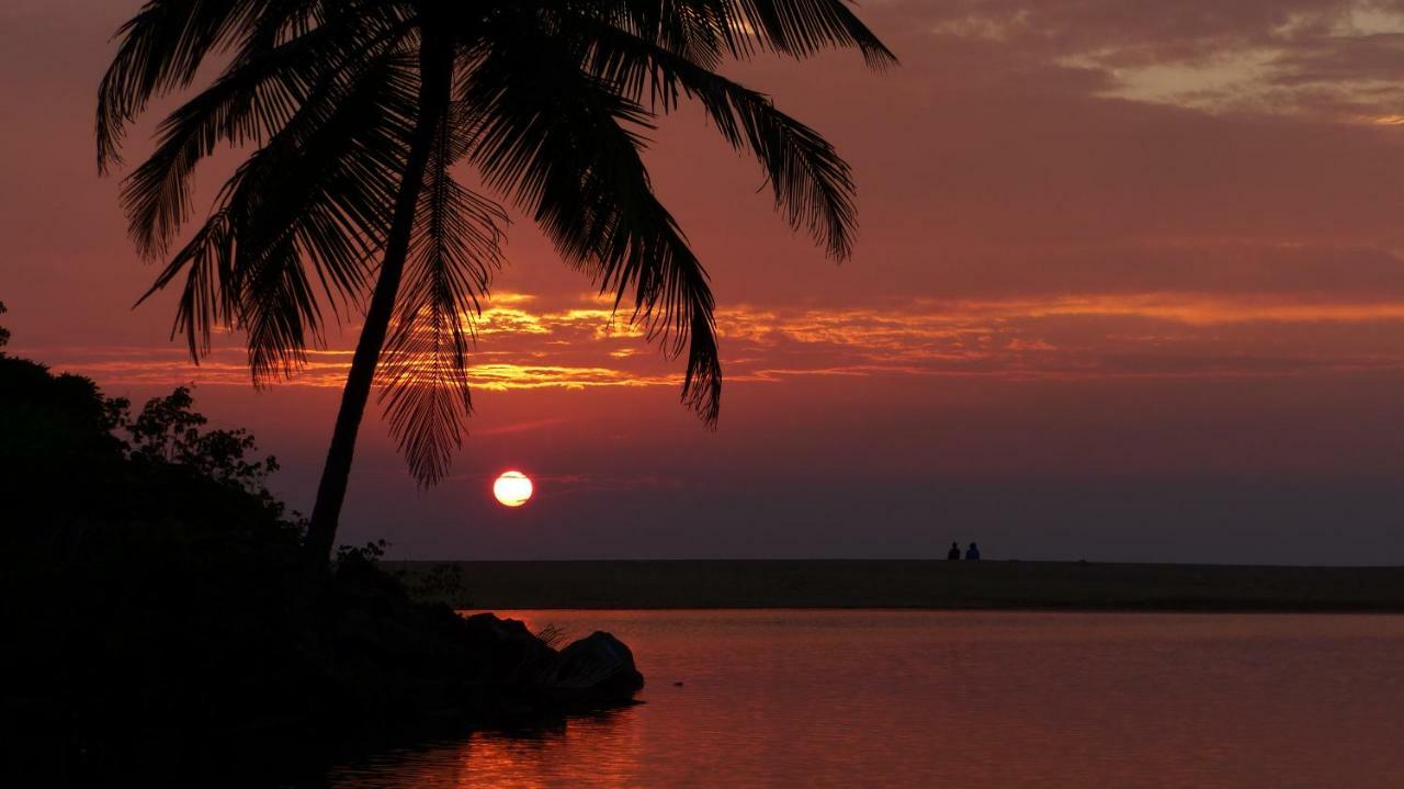 Ocean Green Kerala Kannur Exteriör bild